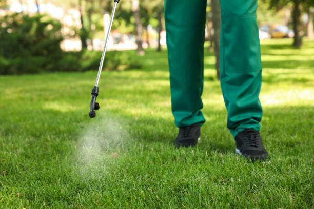 Best Affordable Pest Control Services  in Mount Hore, WI